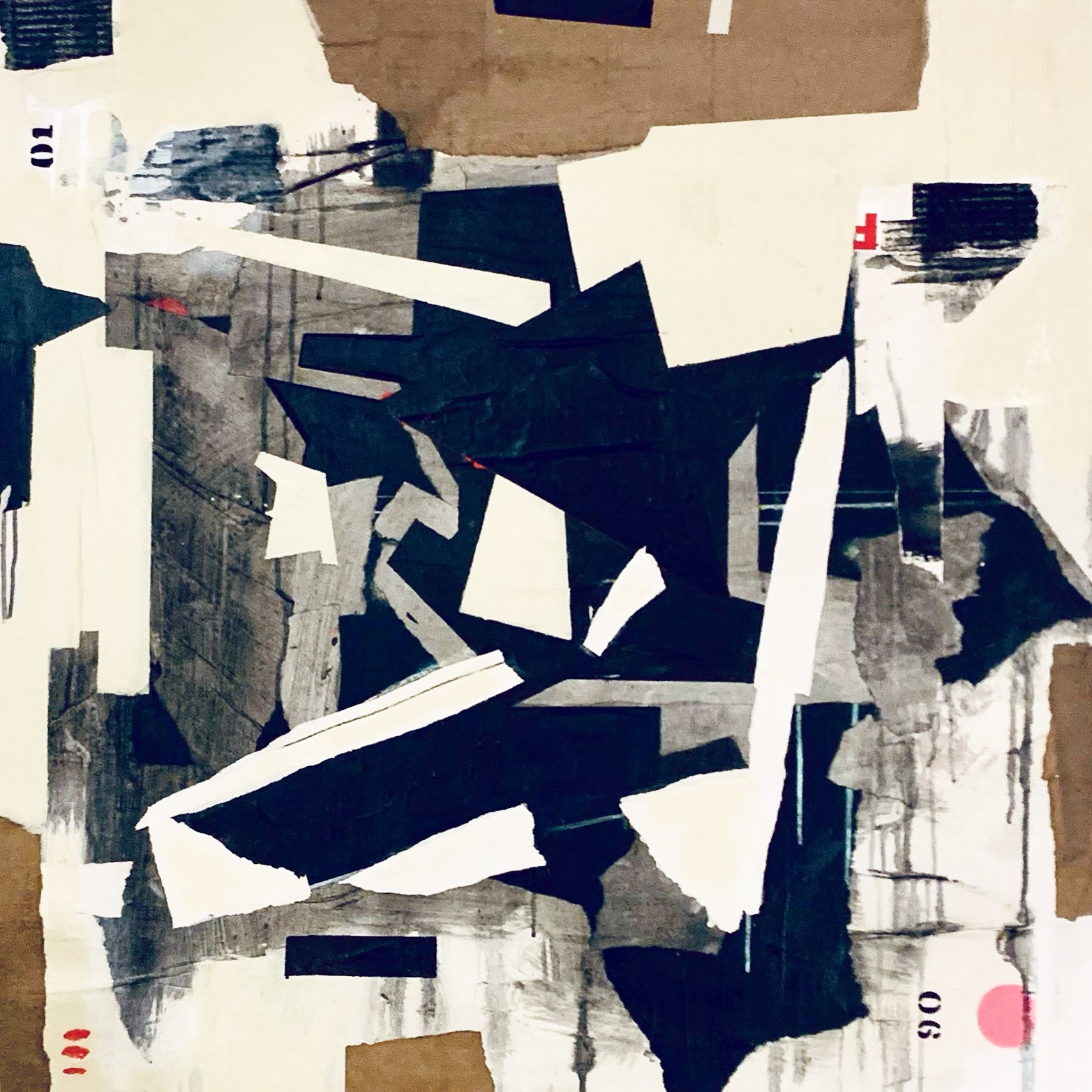 Image module