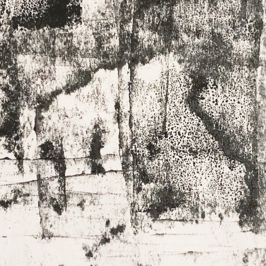 Image module