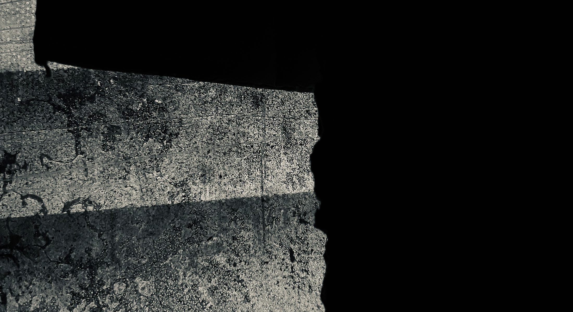 Image module