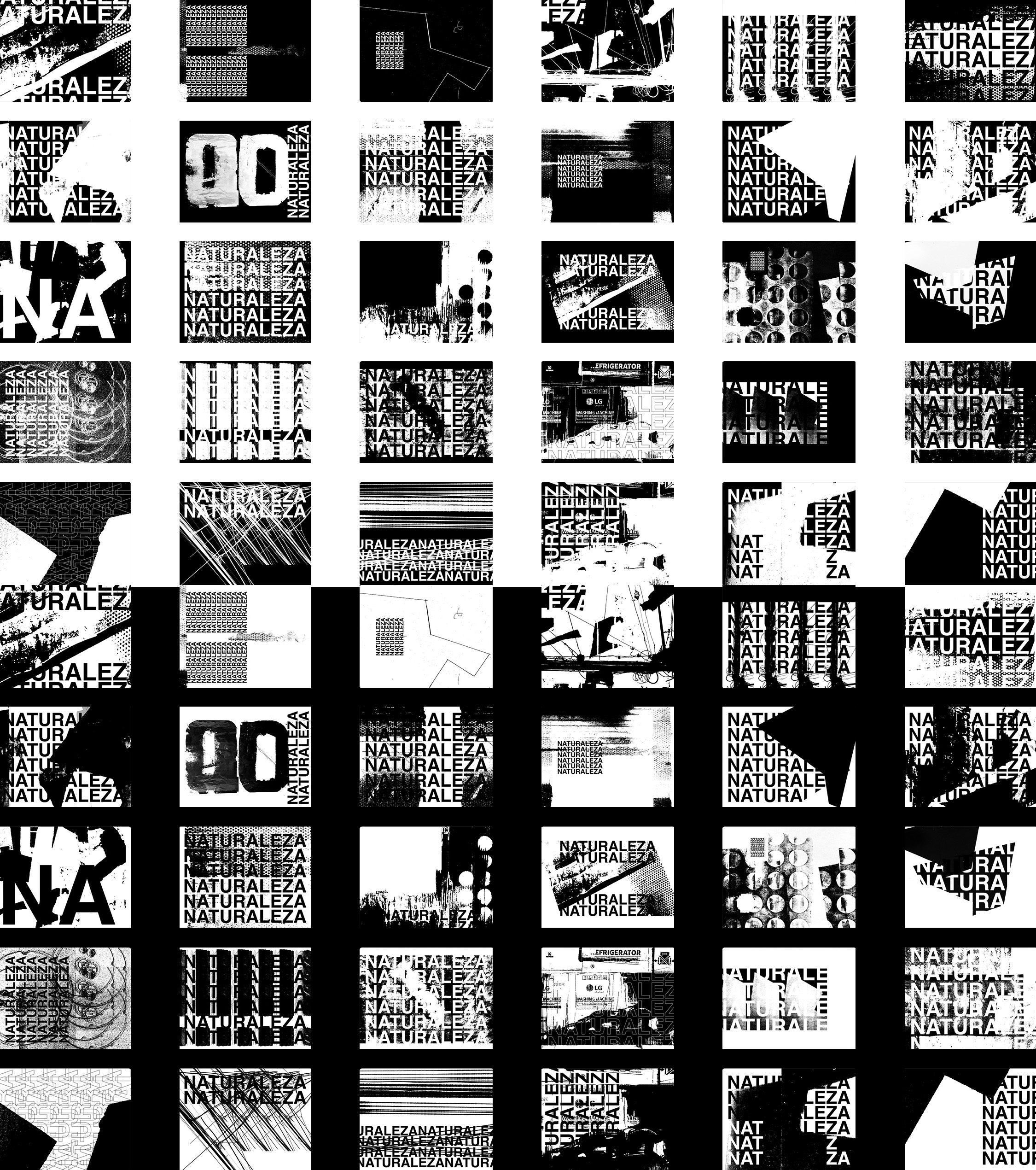 Image module