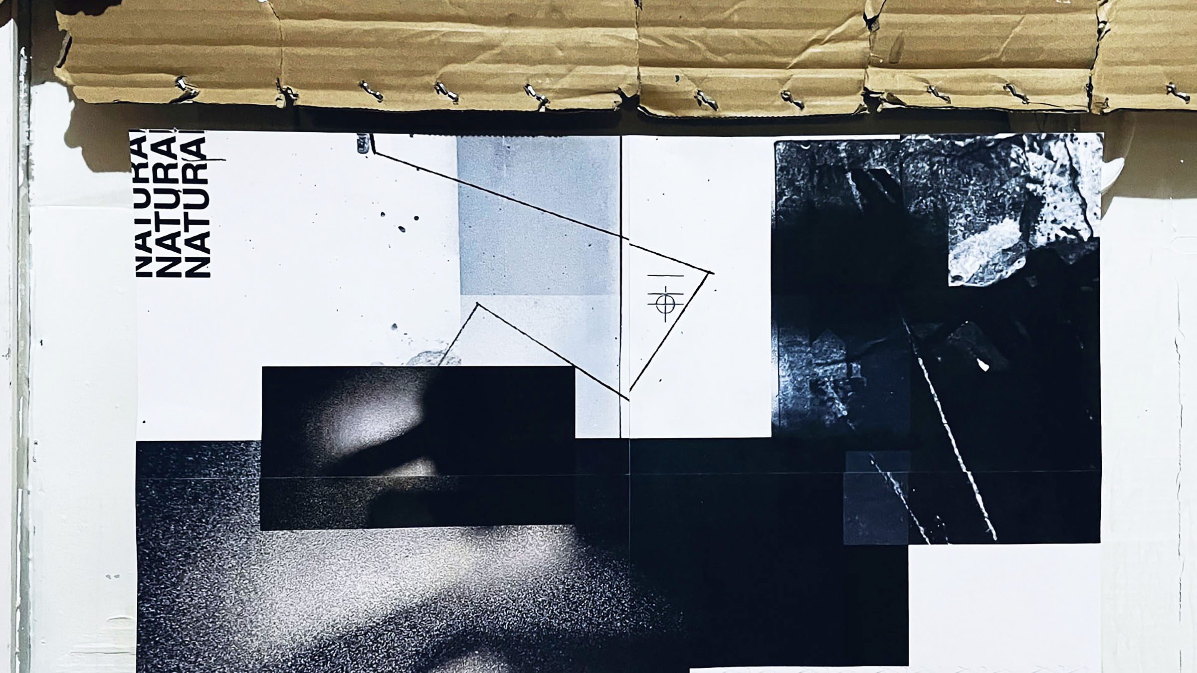 Image module