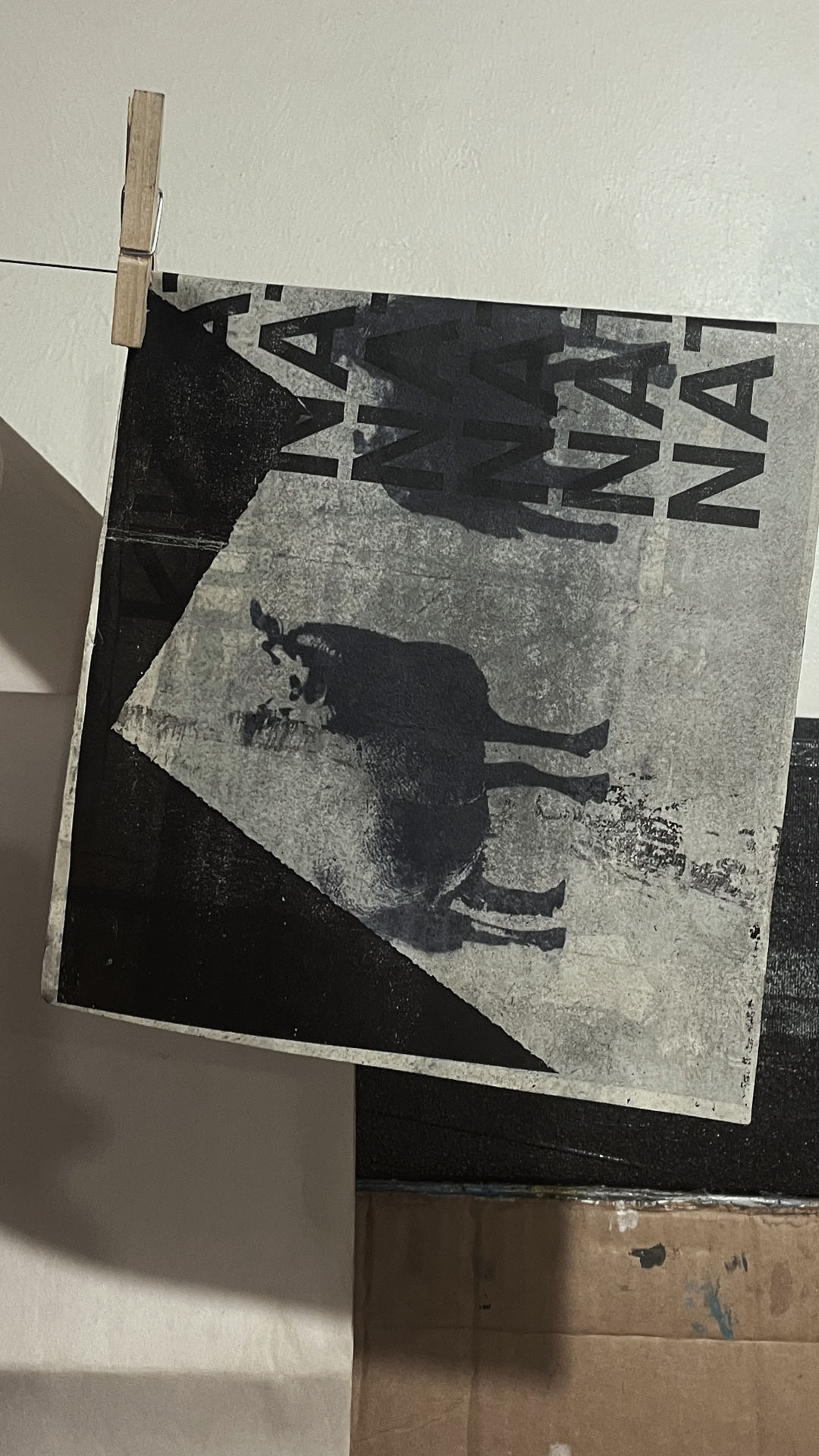 Image module