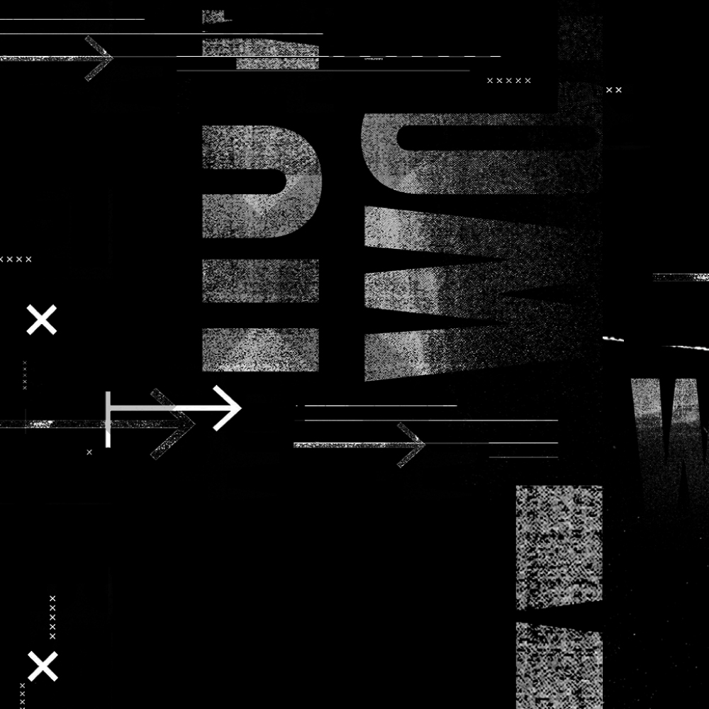 Image module