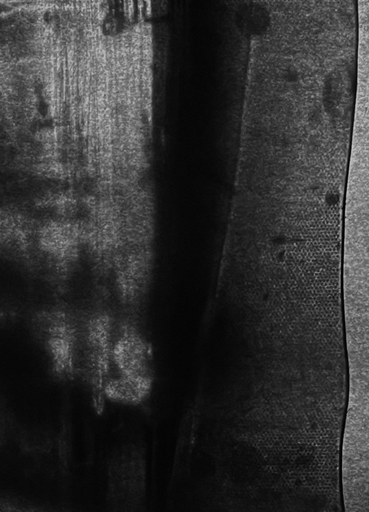 Serie Proyecciones. Gonzalo Pino Infante